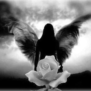 Meet your Posher, Joyce